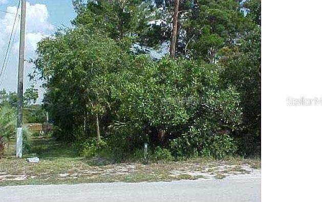 1st image of 511 Dorsey Ct