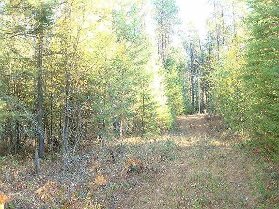 2nd image of Xxx Lodge Pole Ln