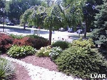 lush yard