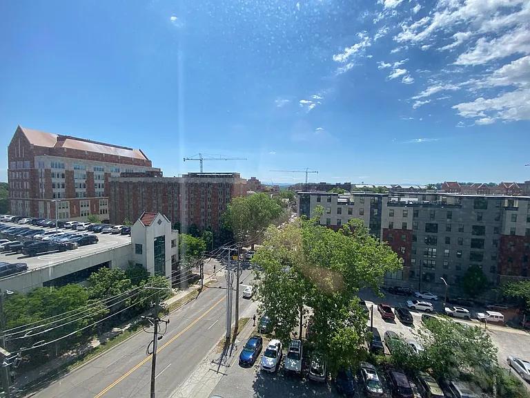 1700 W Clinch Ave #503 — Photo 13
