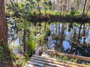 Fox Rd LOT 10, Astor, FL 32102