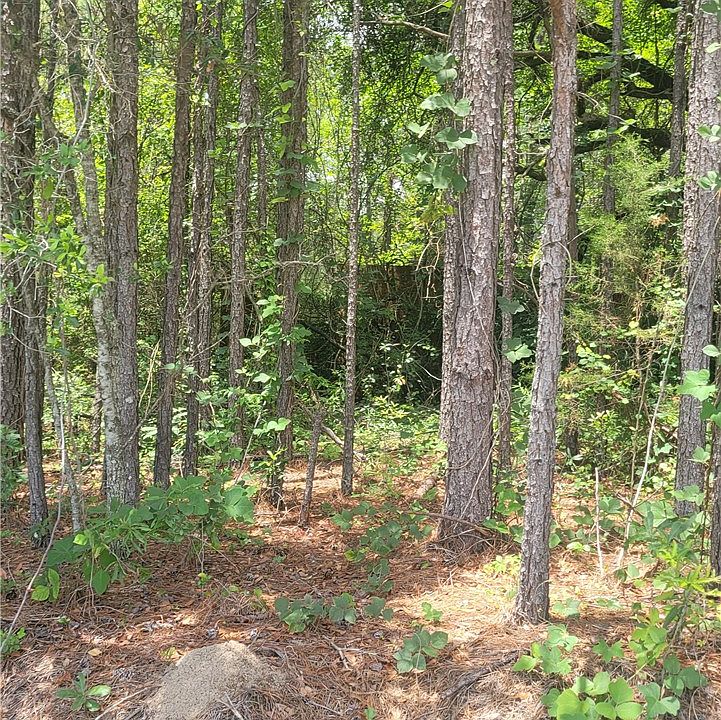 1st image of 1 O'B Brown Rd