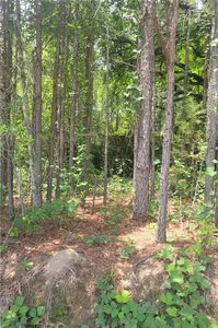 1 O'B Brown Rd, Auburn, AL, 36830