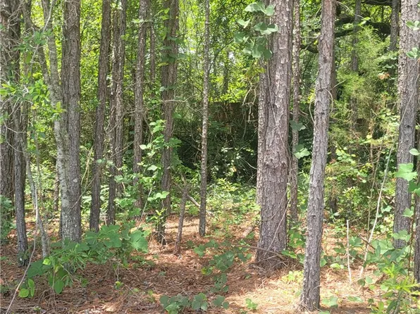 1 O'B Brown Rd, Auburn, AL 36830