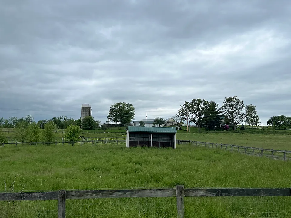 Fenced pasture and run in shed