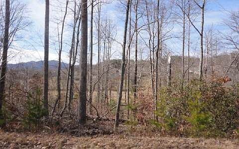 4th image of LOT 59 Asheland Cove Dr