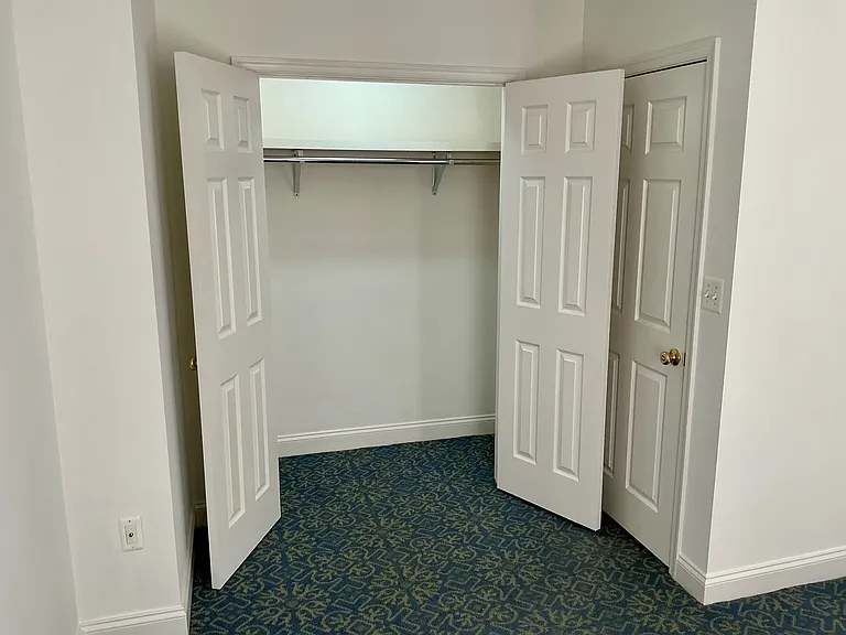 Large closet with lighting