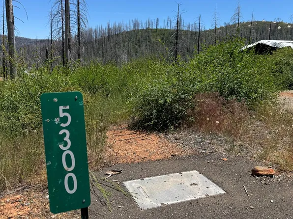 5300 Golden Aspen Dr, Grizzly Flats, CA 95636