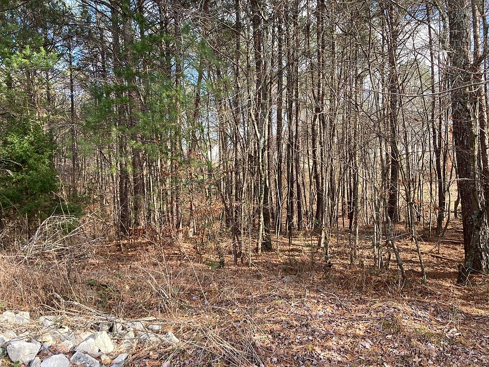 2nd image of 63 Chickadee Dr