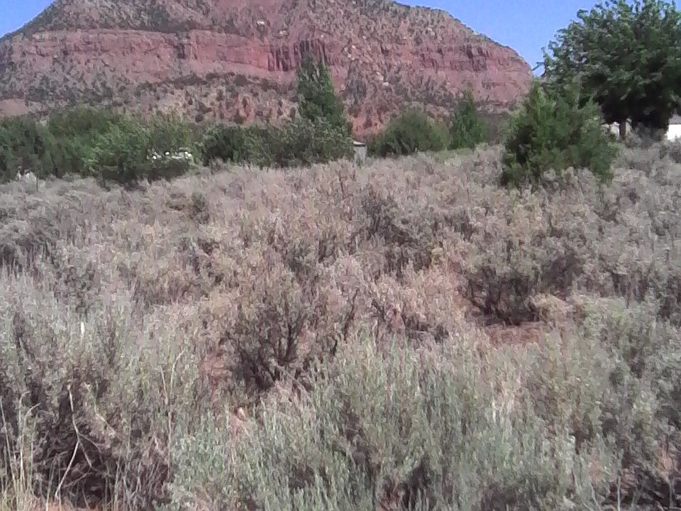Smithsonian Butte 