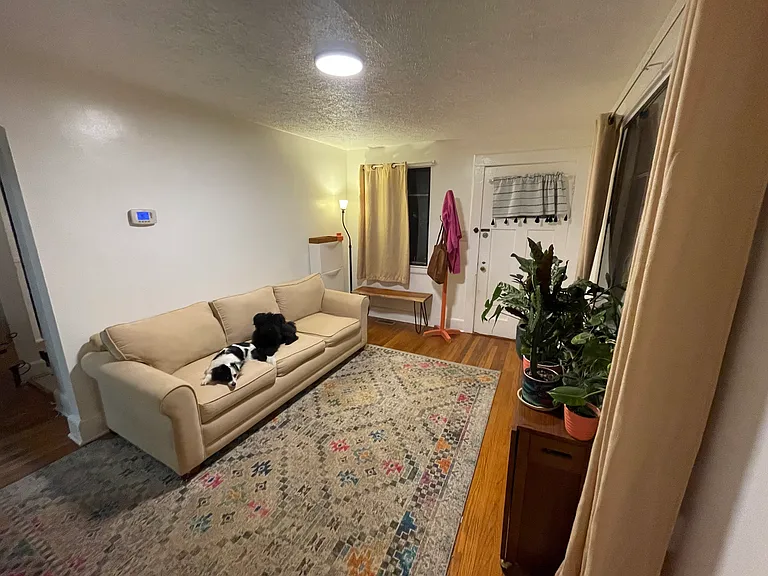 1504 Juniper St — Photo 4