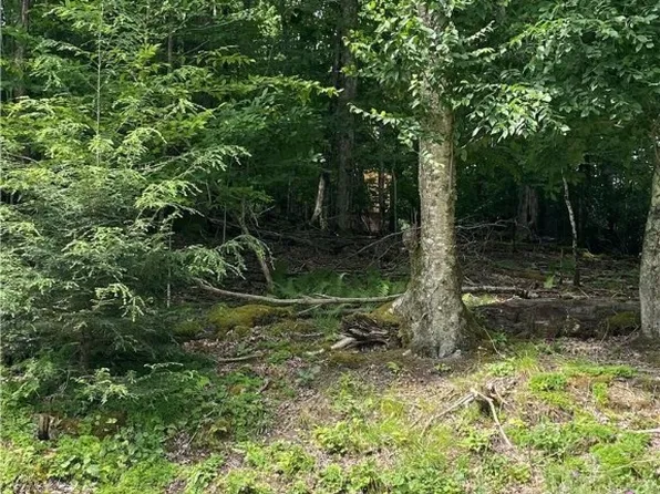 221 Greenbriar Road, Beech Mountain, NC 28604