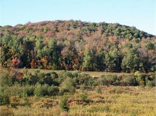 9011 County Road 15b, Canaseraga, NY 14822