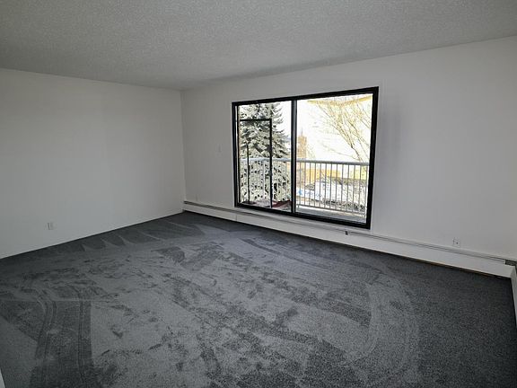 laurier - 4_04022022