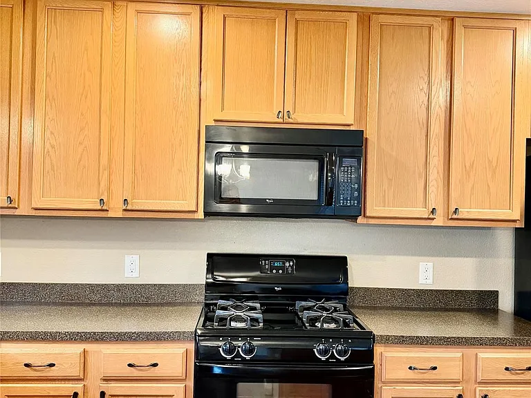 16010 Limestone Lake Dr — Photo 9