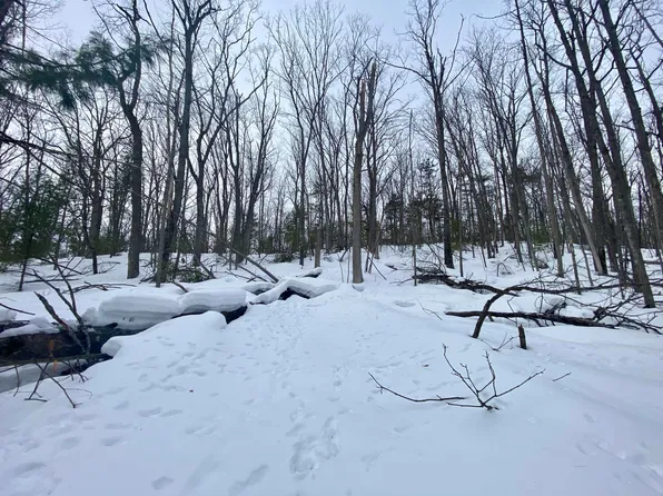 LOT 222 Fascination Dr, Frederic, MI 49733