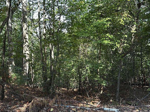 4th image of 946 Aurora Ln