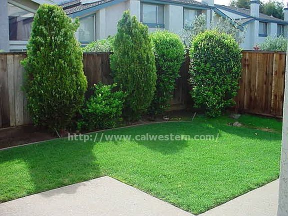 3rd image of 6278 El Paseo Dr