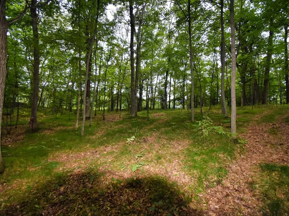 Osceola Cir, Pequot Lakes, MN 56472