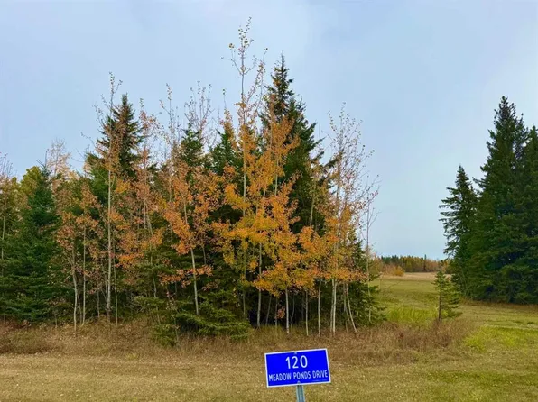 120 Meadow Ponds Dr, Clearwater County, AB T0M 0C0