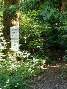 21828 Alder Loop Road, Gold Bar, WA, 98251