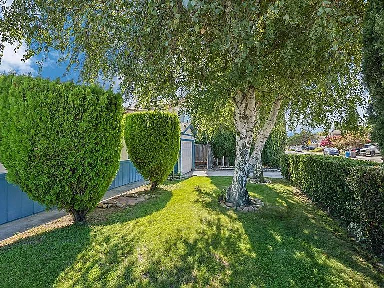 3 bed, 1554 sqft, $2,995 — Photo 3
