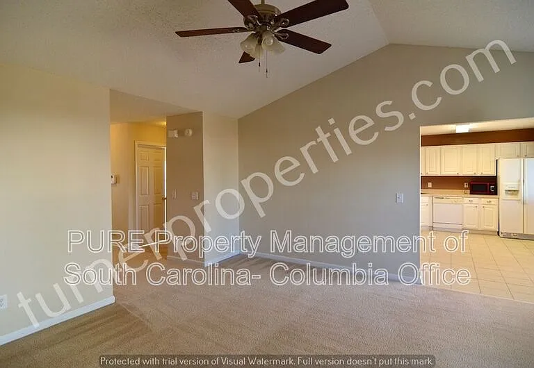 203 Summit Springs Dr — Photo 10