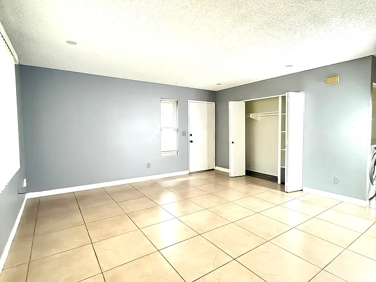 Living room closet storage in view
