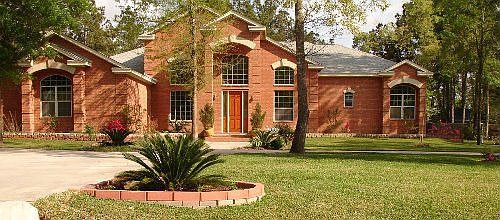 Large plant landscaping