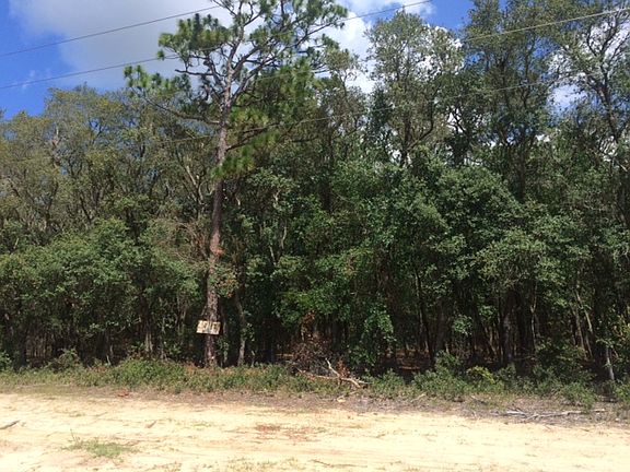 3rd image of 2846 W Gardenia Dr