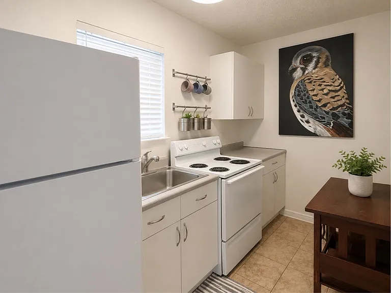 509 Live Oak St #1 — Photo 5