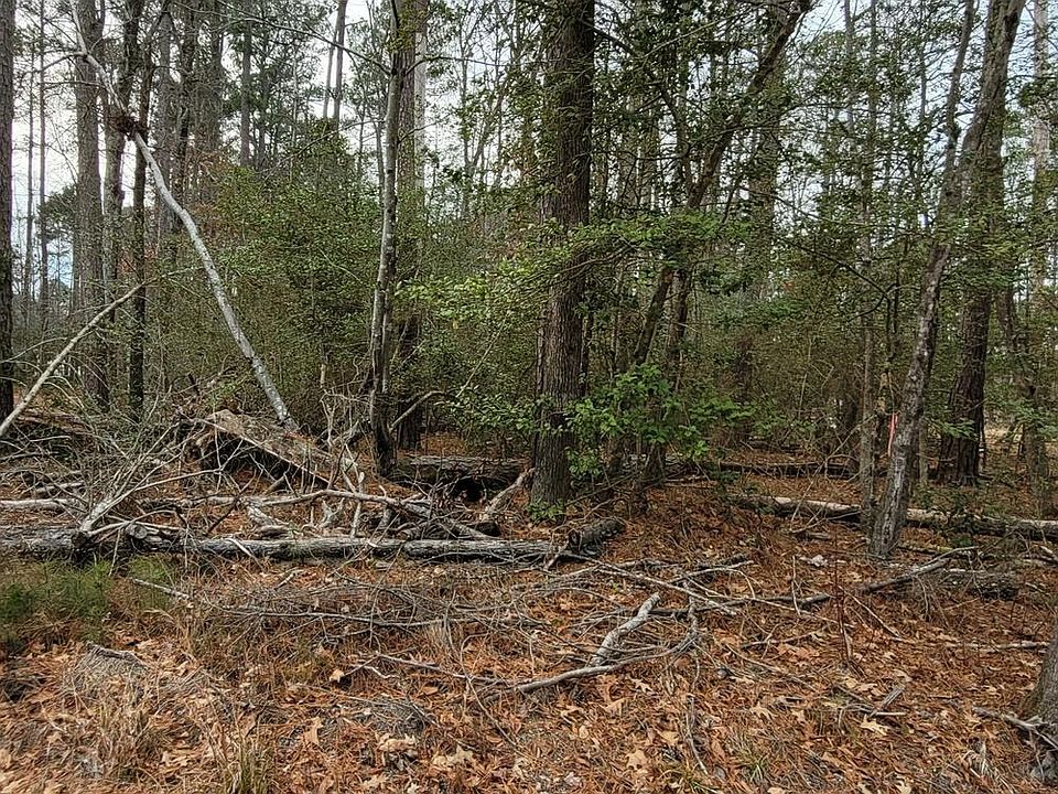 1st image of 40 Wildwood Dr