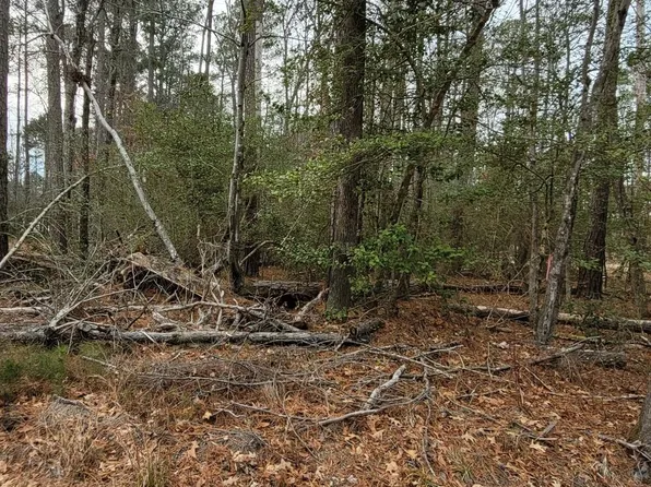 40 Wildwood Dr, Colonial Beach, VA 22443