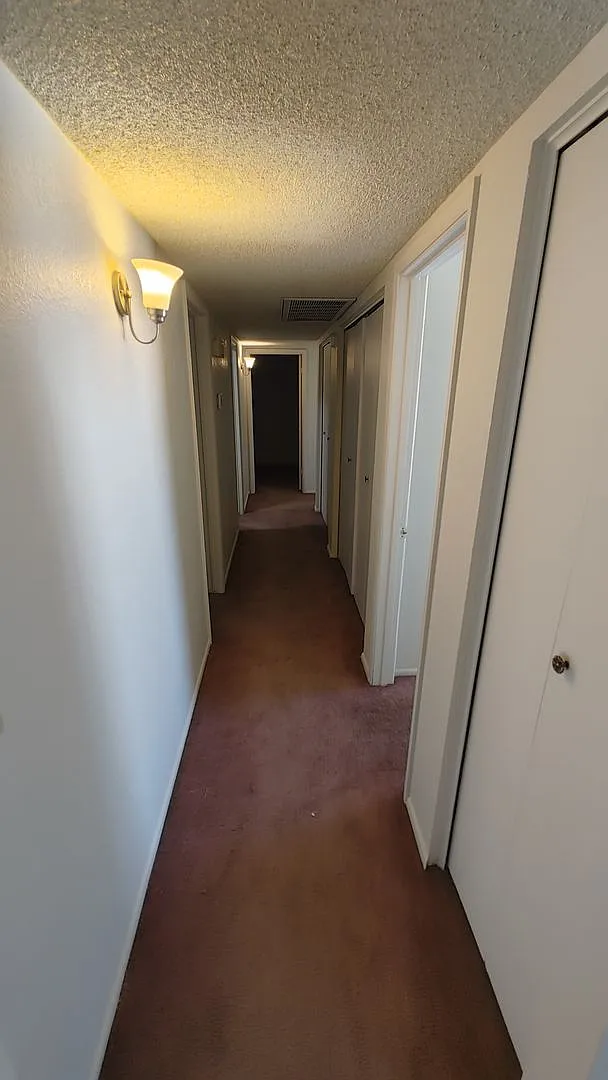 Three Bedroom Two Bath House — Photo 3