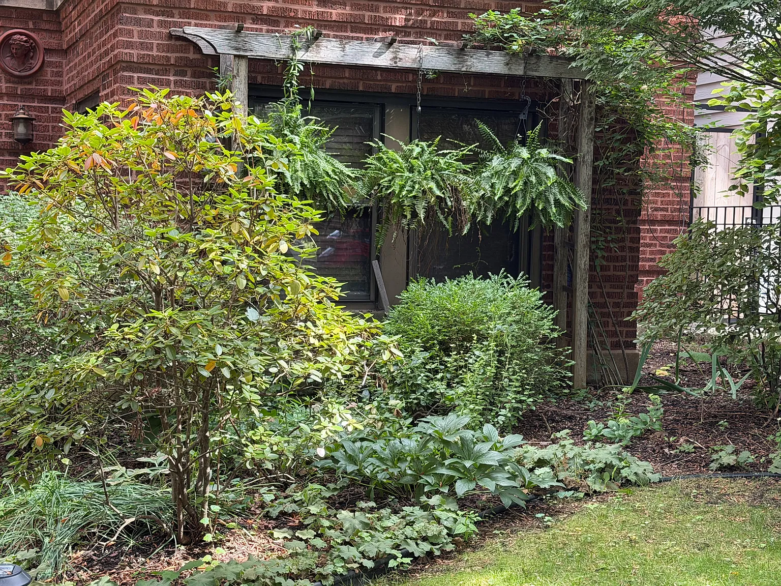 1 bed, 900 sqft, $1,950 — Photo 1