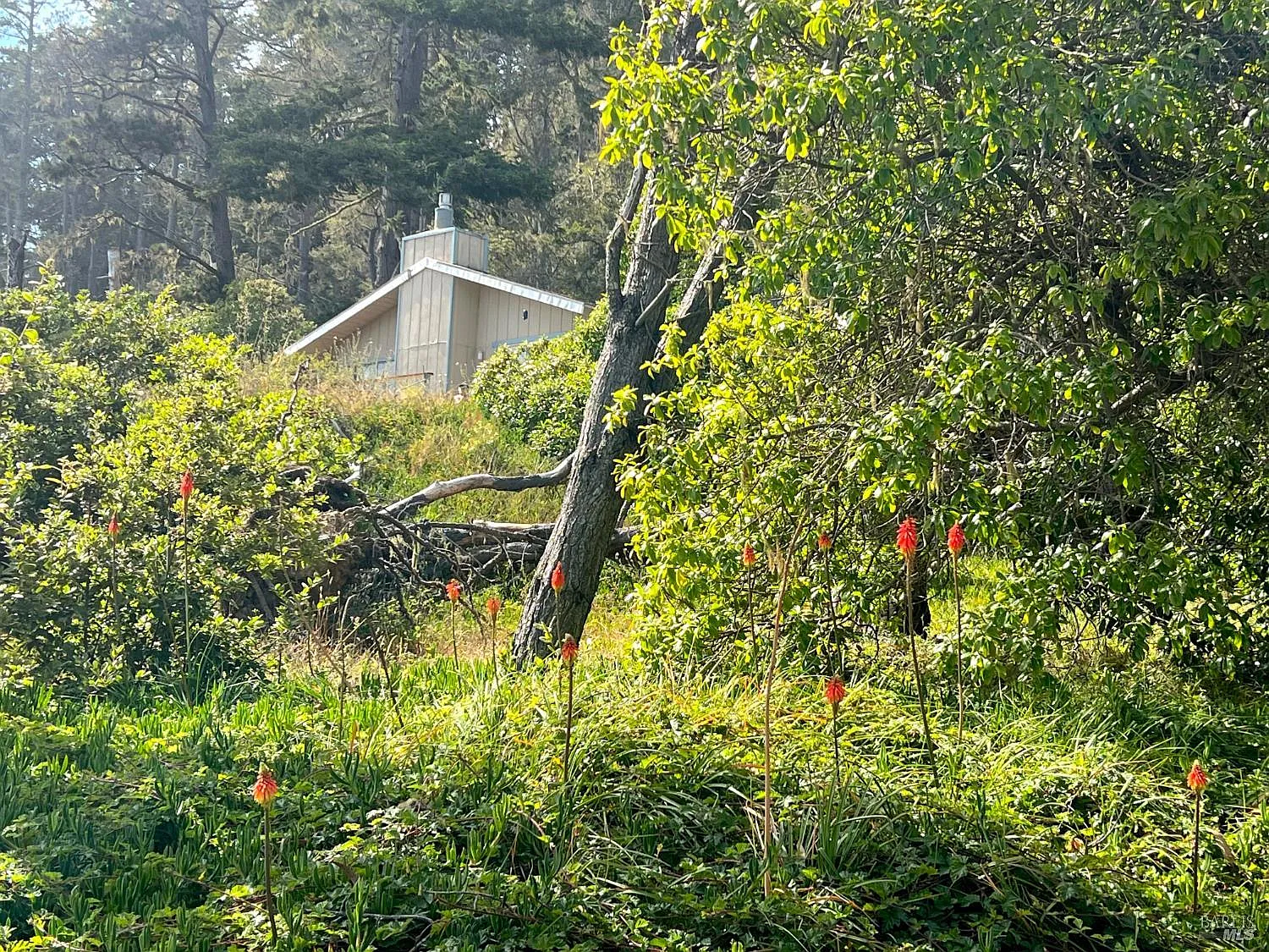 23285 Highway 1 - Photo 8