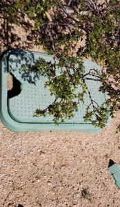 71650 Taylor Ln #2-29, Twentynine Palms, CA, 92277