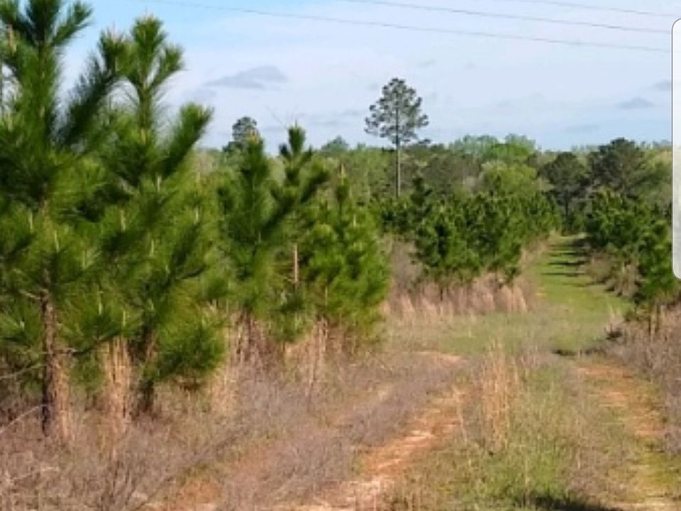 1st image of V/l Cochran Highway Off