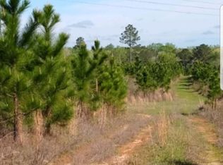 V/l Cochran Highway Off, Hawkinsville, GA 31036