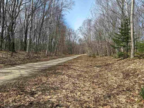 417 Wildwood Ct, Beaver Island, MI 49782