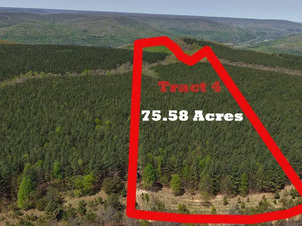 0 Sherwood Rd Tract 4, South Pittsburg, TN 37380