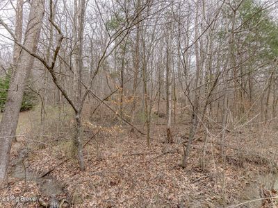 0 Bennett Ln, Bardstown, KY, 40004