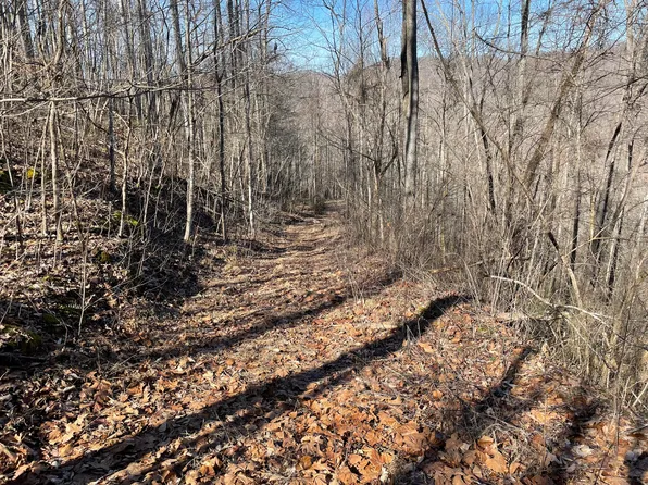 2128 Spring Branch Rd, Confluence, KY 41749