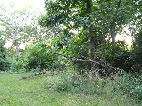 5th image of Lots 396 & 397 Ln #415-A