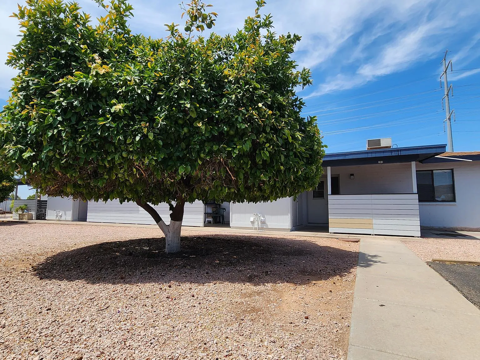 Suncourt — Photo 3