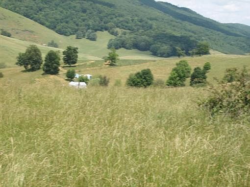 1st image of 304 Steele Brothers Farm Ln