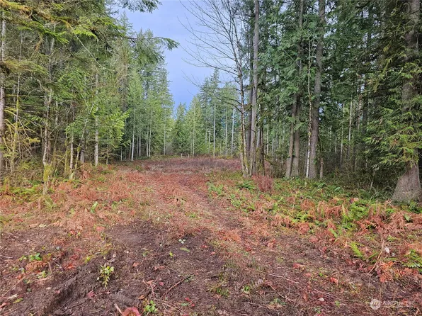 8572 Timberland Court, Concrete, WA 98237