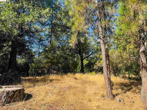 0 American River Dr, Sonora, CA 95370
