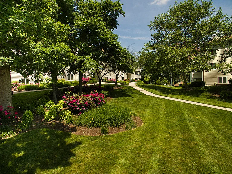 Beautiful Landscaping