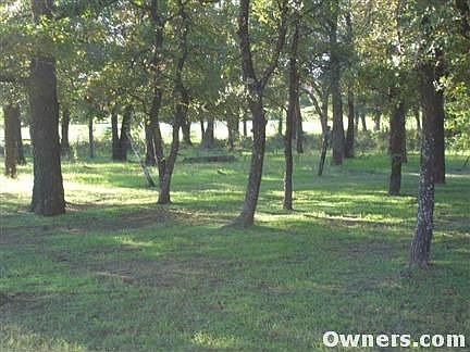 Incredible wooded lot